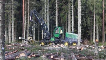 Rottne/Dasa Basmaskin: Rottne H21 Aggregat: EGS 706 Apteringsdator: Dasa Forester H70 Diametermätning: Övre