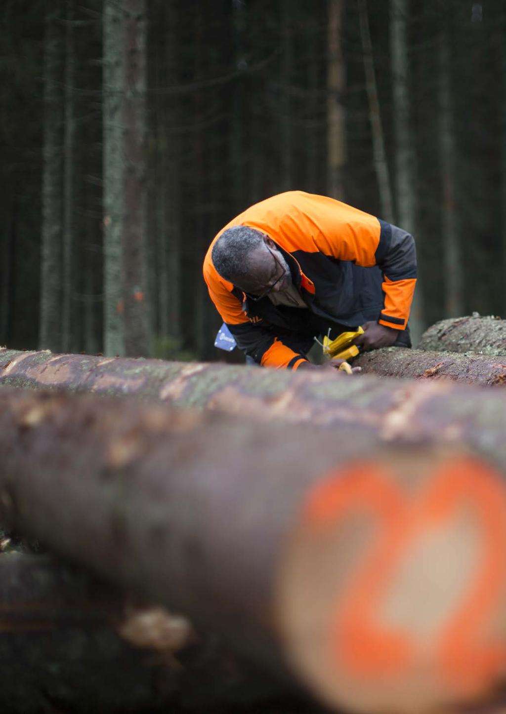 FOTO: SVEN TEGELMO/SKOGFORSK 68