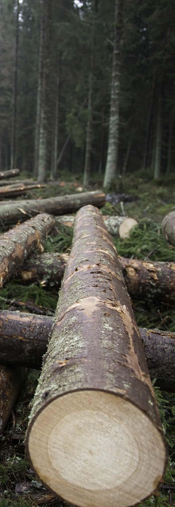 INLEDNING Bakgrund Väl fungerande apteringssystem är avgörande för ett högt tillvaratagande av virkesvärdet vid skördaravverkning.