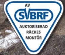 Har officiella möten med TRV och TS 2 ggr/år Nyhetsbrev 2 ggr/år Utbildar räckesmontörer SBSV bildades 2014 och har 63 medlemsföretag varav 23 sysslar med utbildning (främst APV) Styrelsen: Man