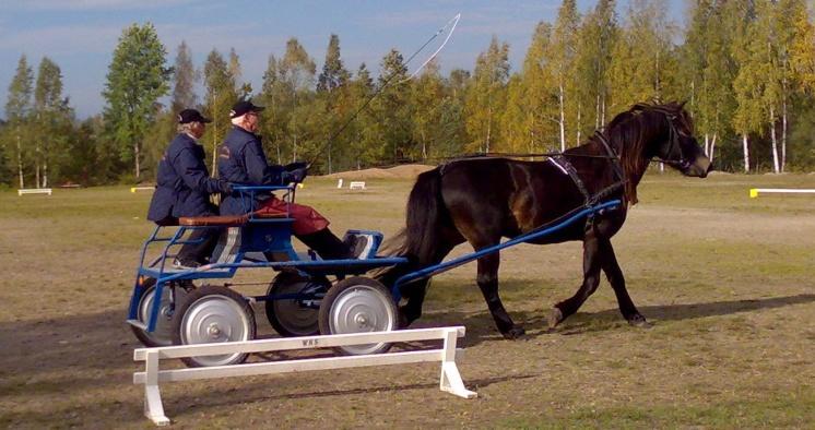 Klubbmästare i dressyr blev Diana Johansson med Nore Prince. I precisionen segrade Linda Haraldsson med Fuxen.
