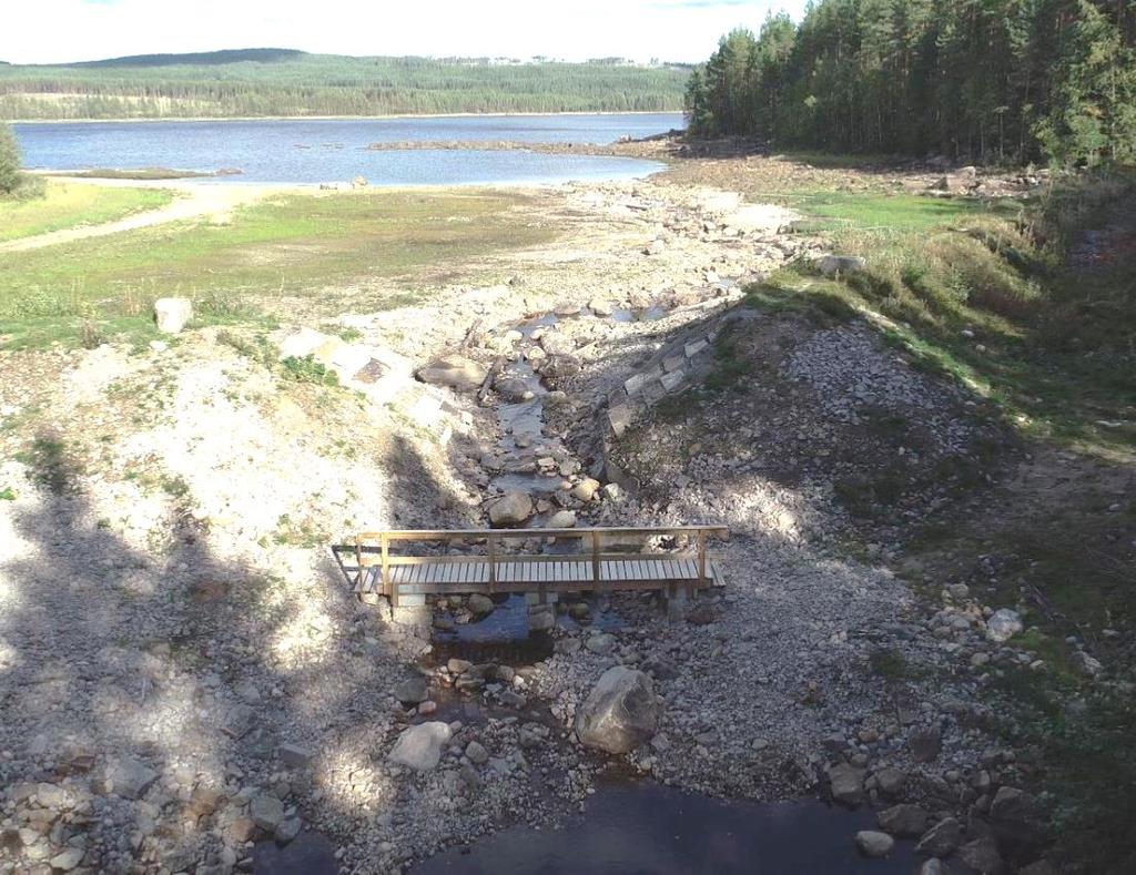 Acksjöns utloppsvik 1 år efter utrivning 2018-09-13.