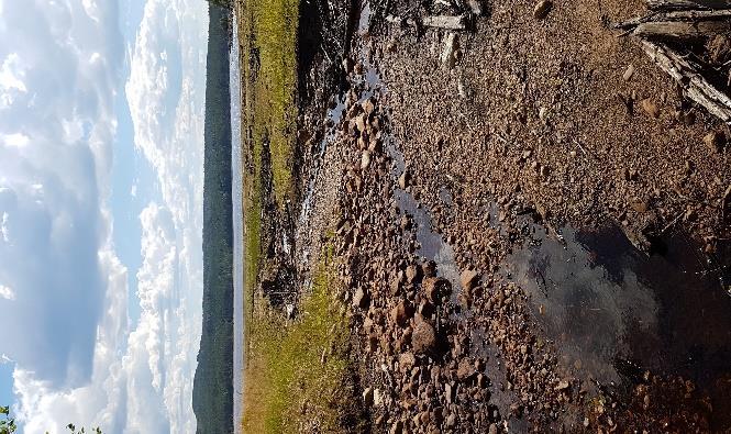 Nordvästra stranden- Brudgumsbäcken Foto 22 Brudgumsbäcken sen höst efter utrivningen samt t.h. sommaren 2018 Viken där Brudgumsbäcken mynnar (i NV) är den del av sjön som påverkats mest av den nya strandnivån.