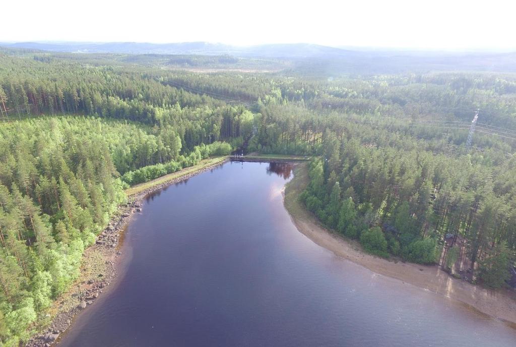 Dammen och utloppsviken Foto 5 Utloppsviken före utrivning.