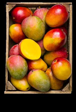 MANGO 12)= /st LOKAL MAT 2 KG