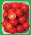 RÄCKER VILHELMINA,, 0940-395 80
