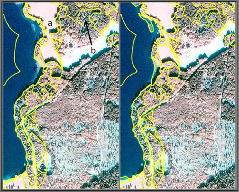 Figur 4. Skillnader i detaljeringsgrad mellan inventering enligt strandinventeringsmetodiken (vänster) och NILS detaljerade flygbildsinventering i 1x1-km-rutan (höger).