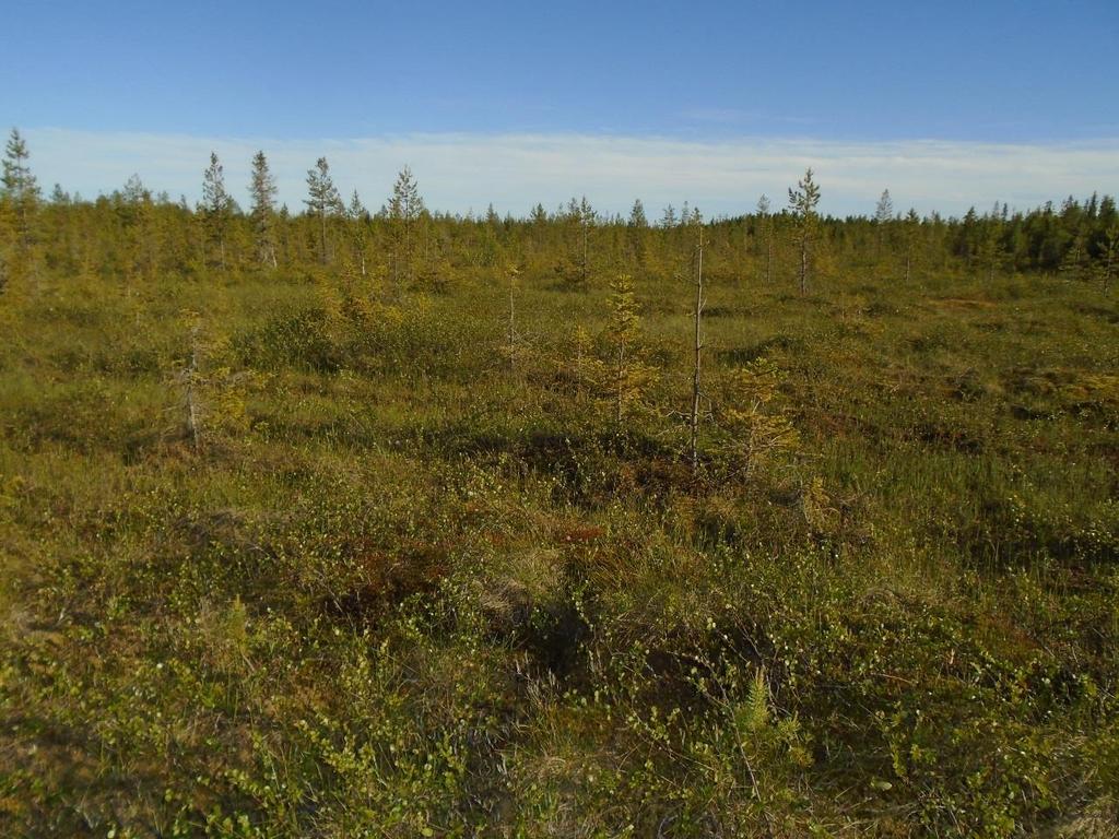 geologiska undersökning.