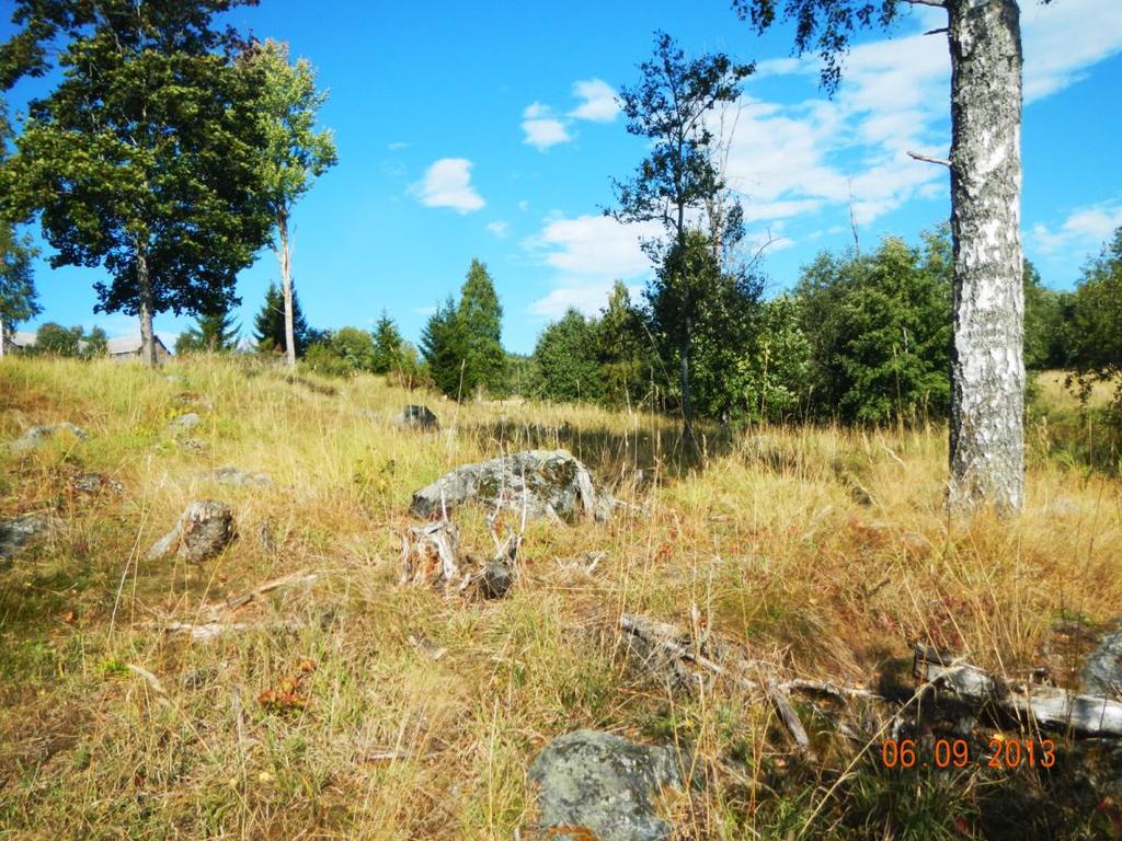 Blockrik ängsmark, en bäck rinner till höger i bilden (km 13/600). 3.