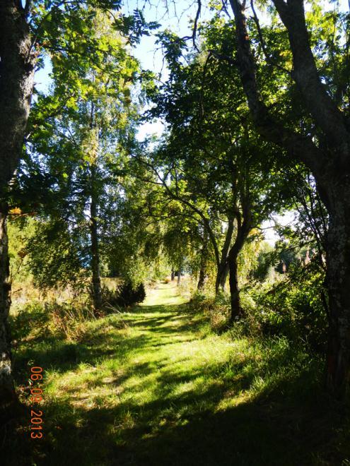 En fin biotopskyddad bäck (km 16/780) rinner genom Sjöland. Den är inte utmärkt på grundkartan utan är tillagd i det här dokumentet. Bäcken ligger nersänkt som en oas i ett öppet odlingslandskap.