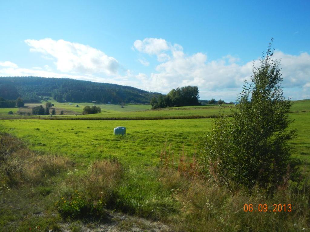 Ett öppet odlingslandskap med många diken, odlingsrösen och en bäck (km 17/950). 3.6 Område Edånger och Skoved (km sektion 17/450 19/600) Öppna ytor och åkermark präglar området Edånger och Skoved.