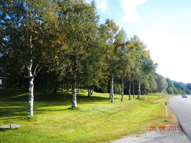 Den låga placeringen i terrängen gör att det här finns få stenar i marken vilket medför att det är ont om odlingsrösen och stenmurar.