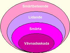 inte ska göra ont gör ont, till exempel beröring,