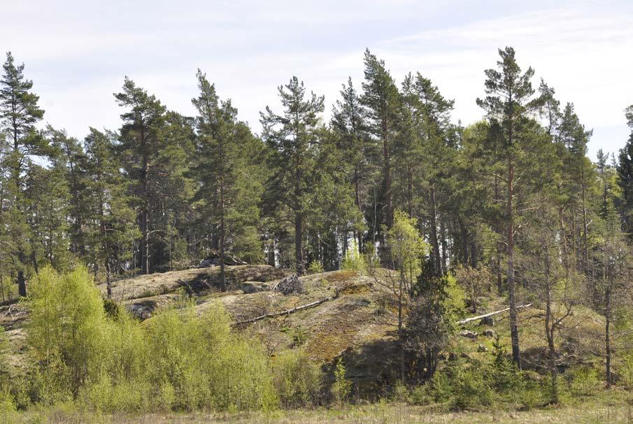 Rydbo saltsjöbad. Föreslagna väganslutningar mellan Valsättra del 1 och 2 kan nyttjas.