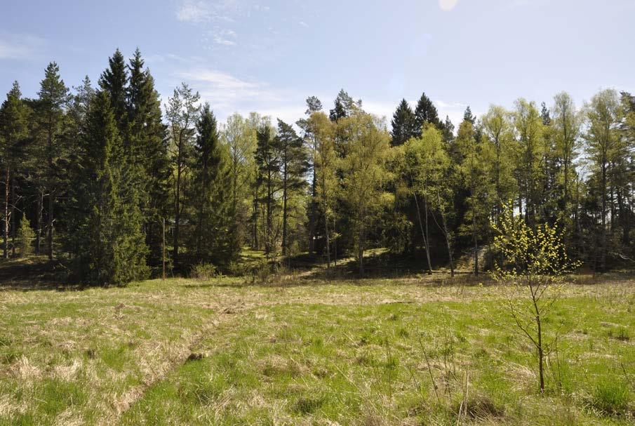 Dalgången är viktig för landskapsbilden och en grön länk genom området.