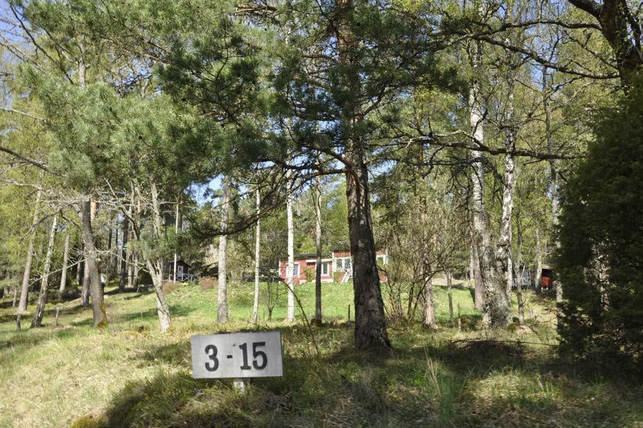 skogsstigar. Fritidshus i branten som passar in i landskapet.