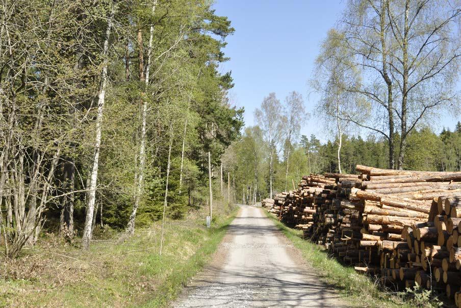 Berg i dagen är ett karaktärsskapande landskapselement som förekommer på flera platser inom