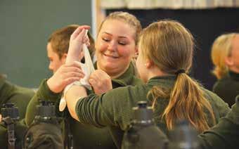 UNGDOMSUTBILDNING Tygmärken med romber är ett utbildningstecken för ungdomar inom Försvarsutbildarna.