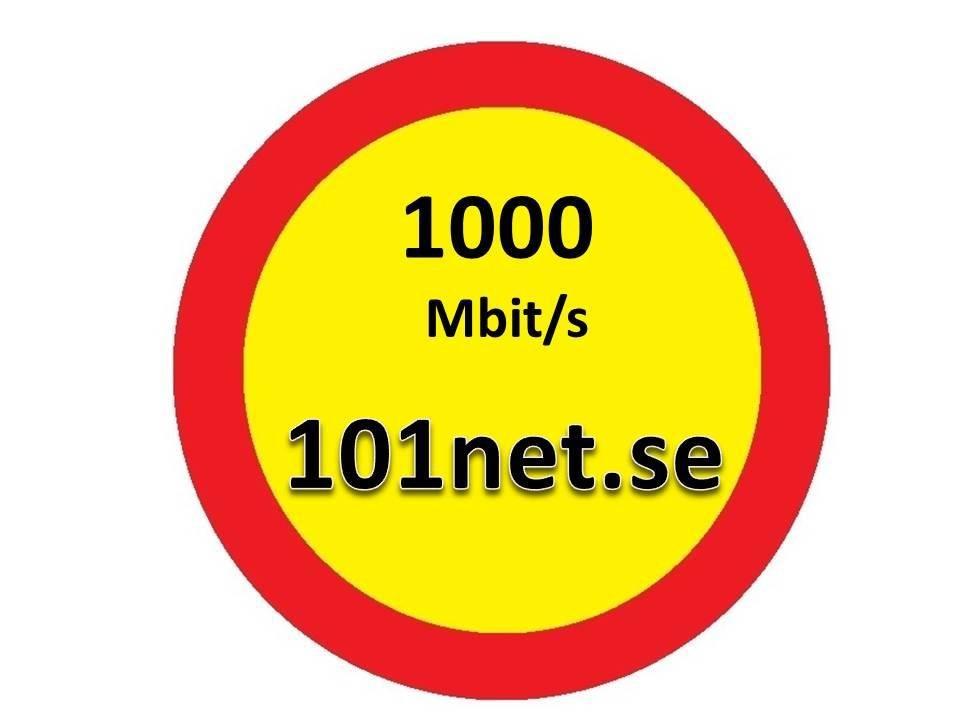 Stadgar För 101net