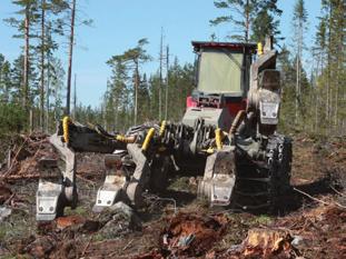 Är det mycket älg kan det dock vara klokt att prioritera gran på de bättre mellanmarkerna. Björk kommer ofta upp naturligt på friska och fuktiga marker.