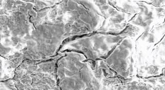 most damaged LiFePO 4 variation in SOC Thickest film