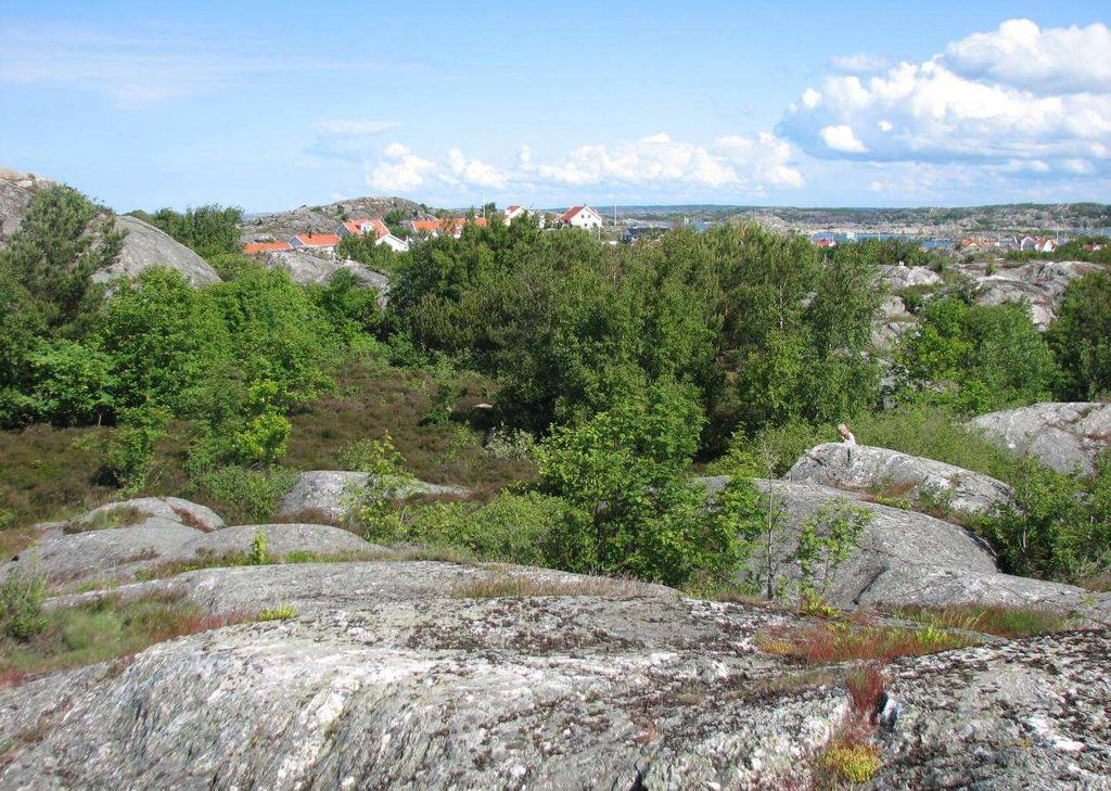 Naturmiljöundersökning Styrsö Tore