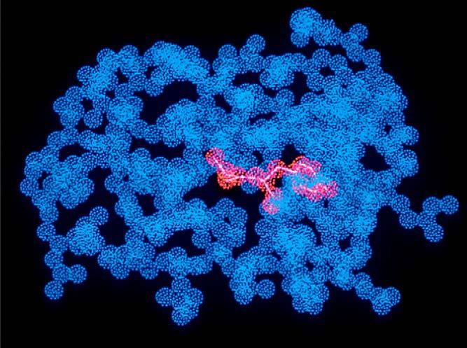 carboxypeptidase-a, som innehåller
