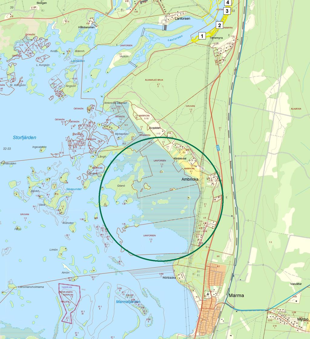 Naturskyddsföreningen i Älvkarleby har bidragit med uppgifter om sällsynta växter i området, bland annat gulyxne som växer här.