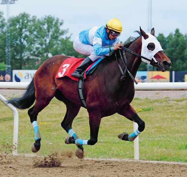 DERBYBANAN JÄGERSRO NR ONSDAG APRIL 0 KL.0 JÄGERSRO GALOPP JULI Onsdagslunch på Jägersro Galopp med nio lopp!