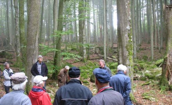 Skog och skogsbruk på Ryssberget söndagen 4 oktober Vi var 20 personer som mött upp vid samlingsplatsen, Maxi i Bromölla. En bra deltagaresiffra som förmodligen grundas på bra lokal marknadsföring.