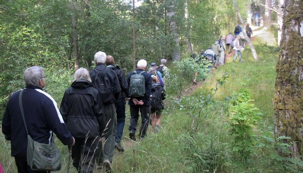 MEDLEMSSTATISTIK Enligt Riksföreningens uppgifter hade föreningen 1 480 medlemmar under 2015. Av dessa var 861 fullbetalande, 617 familjemedlemmar och 2 ständiga medlemmar.