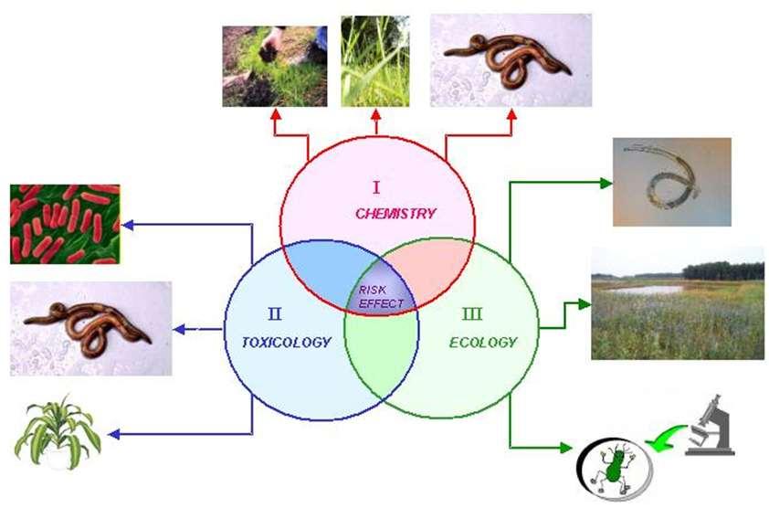 Eco-dokter: Triad approach Vårmöte