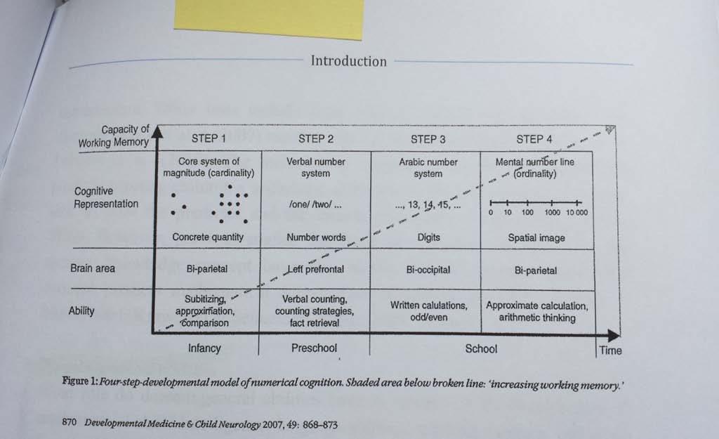 Forskning Bild 3: Four step-developmental model of