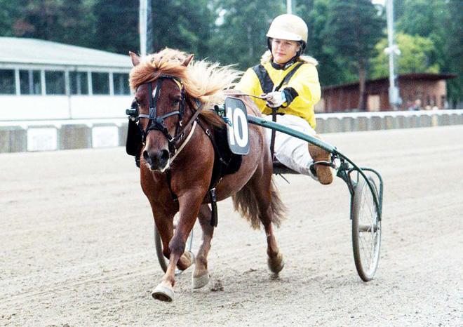 Malmqvist 2006