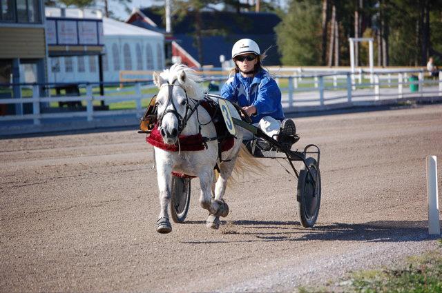 Sjöängens