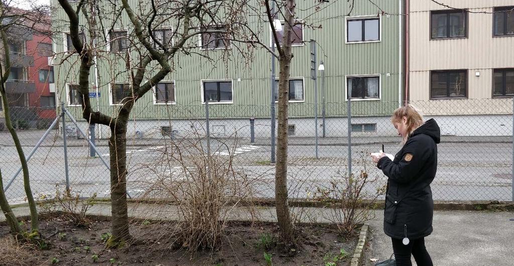 värdering av ekosystemtjänster av urban grönska Amanda Skarin Uppsats för