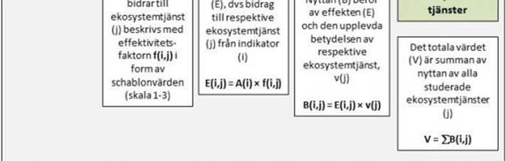varandra och skiljer sig åt sett till strukturen.