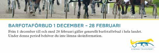 CHAMPION TOUR :, AM, K Total: --.,mbr.v.e Flirtin Man - : --. : --,a.