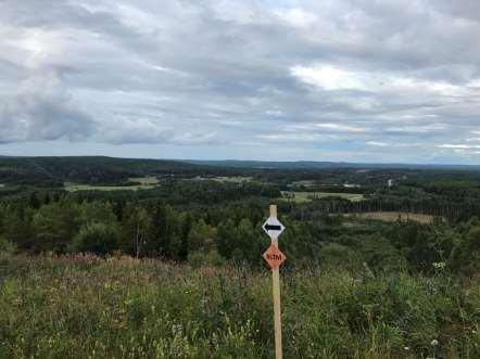 BruksLeden TerrängMarathon (BLTM) Det har under en längre tid inom klubben diskuterats om att arrangera ett rent