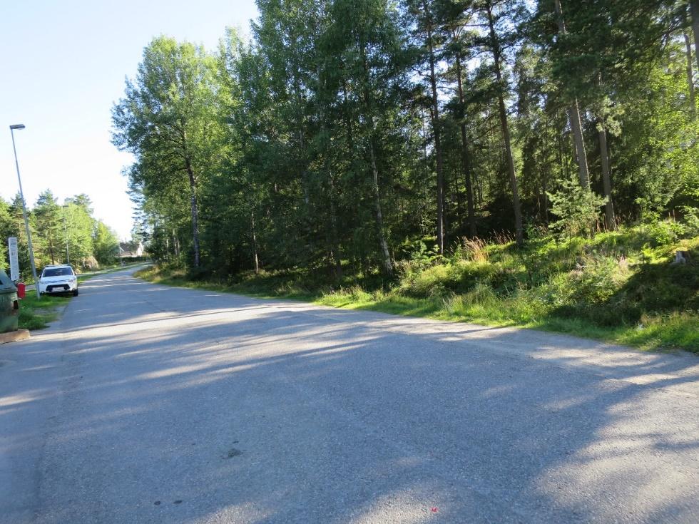 Marken i läget för de planerade husen utgörs idag av skogsmark som är bevuxen med träd och sly.