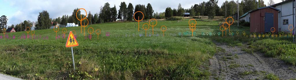 Fotopunkt 2, Borgvattnet + grannparker Hocksjön Kalkstenshöjden Lill-Villflon Björkhöjden