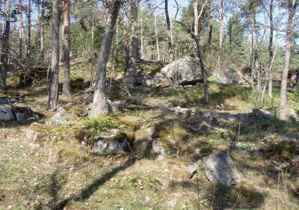 9 Vårskog uppe på Långberget.