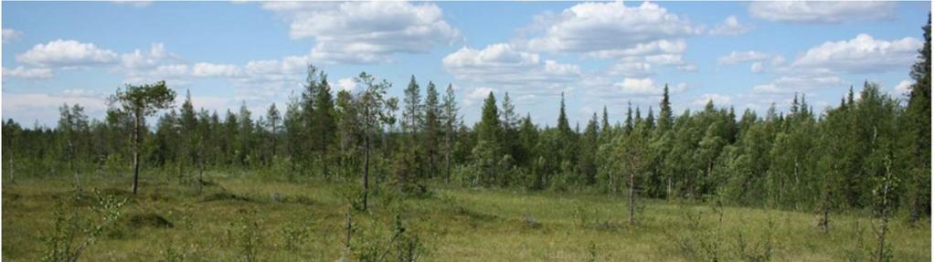 genom förekomst av naturvärdesstrukturer som flerskiktighet, gamla träd, naturlig