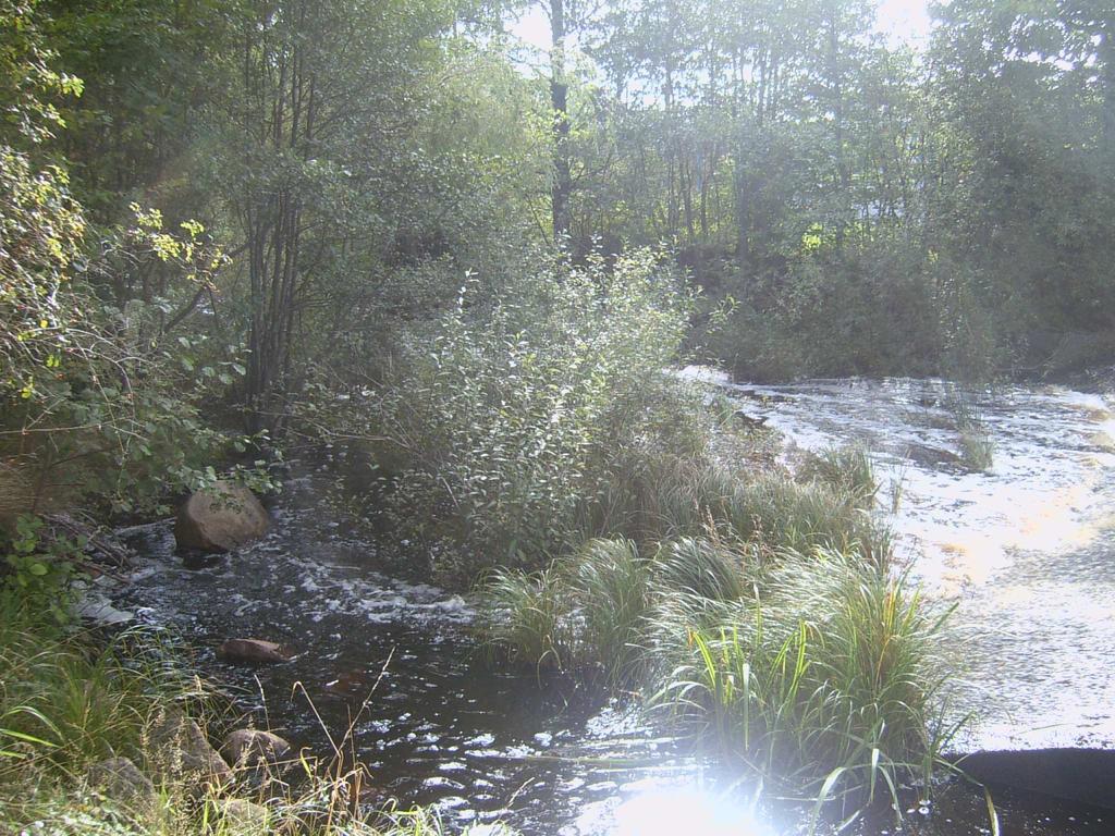 Bruatorpsån, nedströms Vallmans göl (625345, 151200) Inget provfiske gick att genomföra på sträckan 2013 eftersom det var i princip torrlagt nedanför dammen.