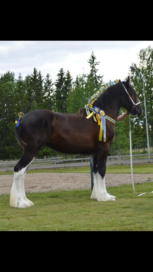 Klass 12.