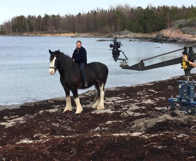 Sommaren med Chapplin Många vet att Chapplin hade en svår start i livet, och jag tror alla är glada över varje dag man år med sin häst, för någonstans djupt inne i en så vet man att hästens liv är
