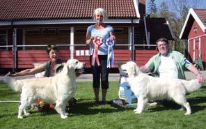 open show 2008 Show Hunneberg 10 maj, Berga gård Domare: Susanne Björkman, Kennel Roxanne Totalt 82 anmälda Show Medelpad 2 augusti, Ånäsparken Domare: Ulla Hägglund, Birdsherrys Totalt 61 anmälda