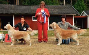 show 2008 Guldruschen s to Greece with Love e. EUJW-02 Greekch Tearlach of Glen Sheallag u. SU(u)Ch Never Mind of Glen Shellag Uppf. Madeleine Runberg, Lenhovda Äg.