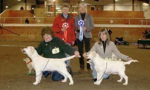 /4 Össbyligan s Kira Rackirock s Nova Poetry s Ginger Heart Of Mine /5 Ekbackens Queen Of Passion Avelsklass SU(u)CH NORDUCH PLCH LVCH SV-06 SV-07 LVW-07 Dewmist Silkventure Uppfödarklass Kennel