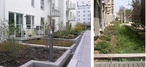 Figur 8. Exempel på utformning av växtbäddar på kvartersmark. Till vänster: Innergård, Hammarby sjöstad, Stockholm. Till höger: Nedsänkt växtbädd i Paris Foto: Sweco. Figur 9.